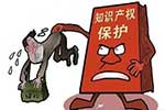 美国海关严抓知识产权侵权货物，卖家别再铤而走险
