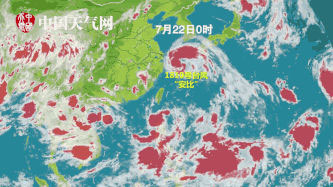 中晨达物流