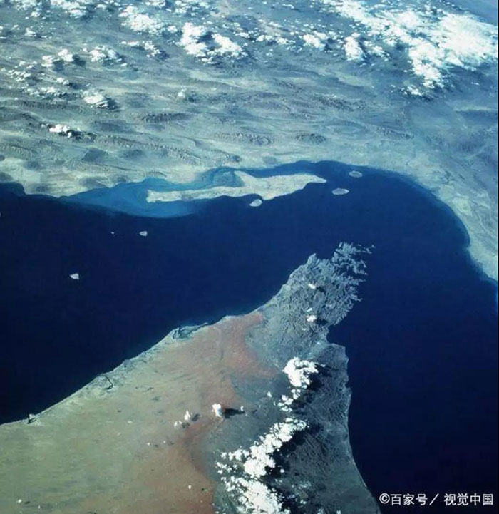 专业进出口
