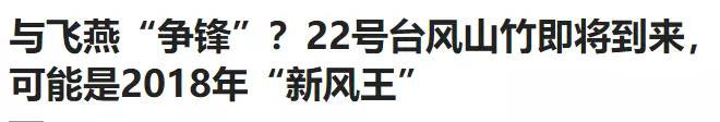专业进出口