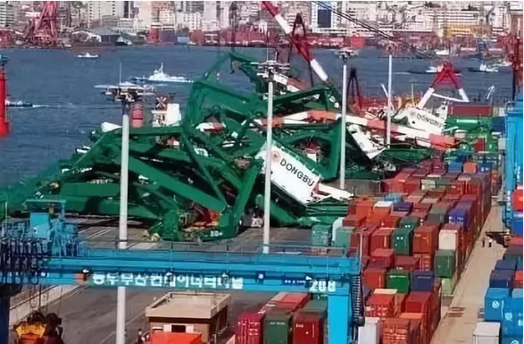 专业进出口