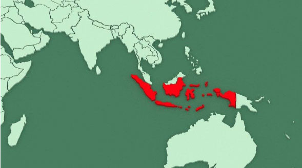 中晨达物流