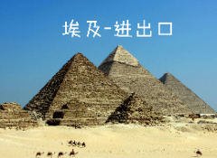 埃及-进出口服务