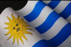 乌拉圭-国际物流