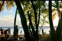 马提尼克-国际物流