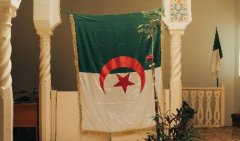 阿尔及利亚-国际物流