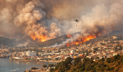 智利中南部突发大规模山火!