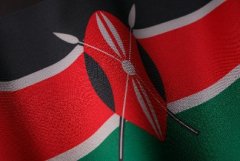 肯尼亚-国际物流