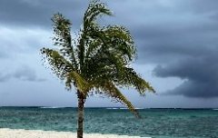 毛里求斯-国际物流