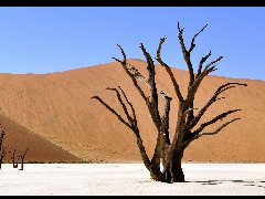 纳米比亚-国际物流