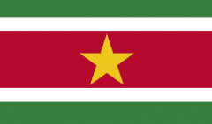 苏里南-物流指南